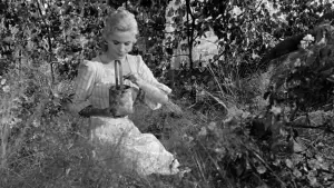 Задник до фильму"Сунична галявина" #750357