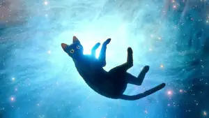 Задник до фильму"" #586574