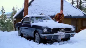 Задник до фильму"Мізері" #633046