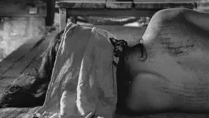 Задник до фильму"Жінка в пісках" #749756