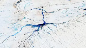 Задник до фильму"" #574325