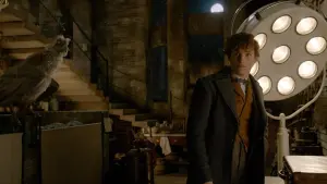 Задник до фильму"Фантастичні звірі: Злочини Ґріндельвальда" #473151