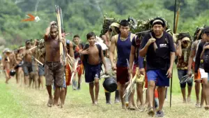 Задник до фильму"" #698602