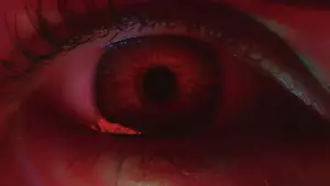 Задник до фильму"Під водою" #660008