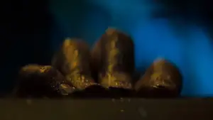 Задник до фильму"Чужий" #548900