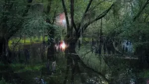 Задник до фильму"Анігіляція" #618586