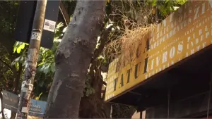 Задник до фильму"" #504910