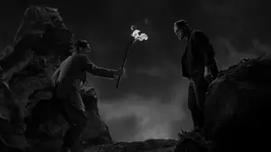 Задник до фильму"Франкенштейн" #641076