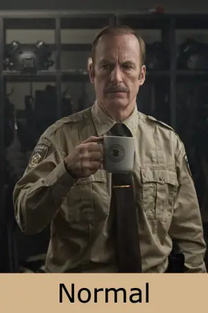 Постер до фильму"Нормал" #774535