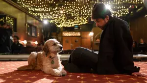 Задник до фильму"Ramy Youssef: In Love" #799597