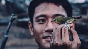 Задник до фильму"Mưa đỏ" #803346