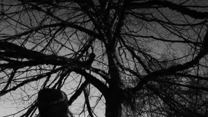 Задник до фильму"Тіло Дженніфер" #664212