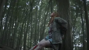 Задник до фильму"The Strangers" #804225