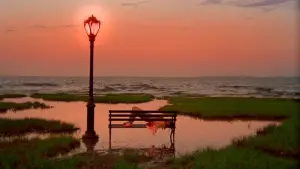 Задник до фильму"Shortbus" #806172