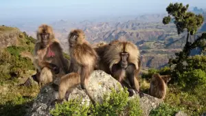 Задник до фильму"Le royaume des nuages" #800282