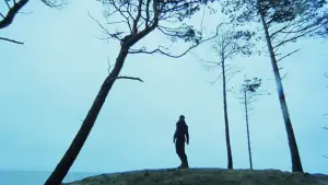 Задник до фильму"" #690677