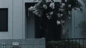 Задник до фильму"" #525426