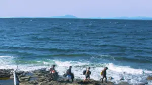 Задник до фильму"" #491596