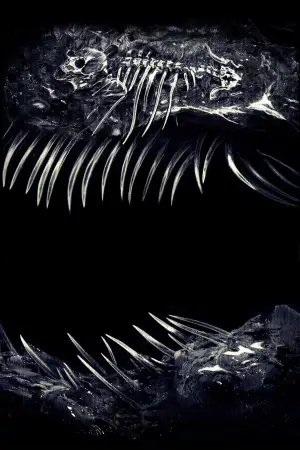 Постер до фильму"Залізна Легеня" #508184