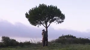 Задник до фильму"" #569255