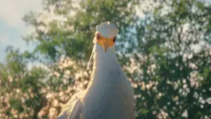 Задник до фильму"" #586598