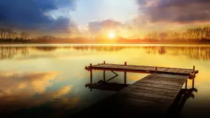 Задник до фильму"Секрет" #225365