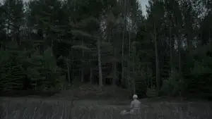 Задник до фильму"Відьма" #600292