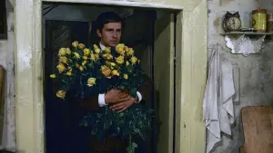 Задник до фильму"Знахар" #452199