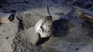 Задник до фильму"Тремтіння землі" #255650