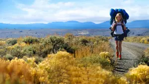 Задник до фильму"Дика" #245796