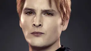 Задник до фильму"Сутінки. Сага: Світанок - Частина 2" #525538