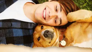 Задник до фильму"Життя і мета собаки" #204535