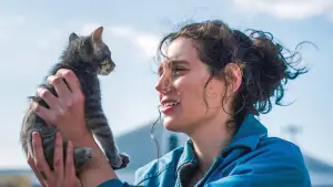 Задник до фильму"Пробач, дівчинко" #523459