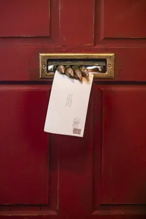 Постер до фильму"Магічні двері" #326869