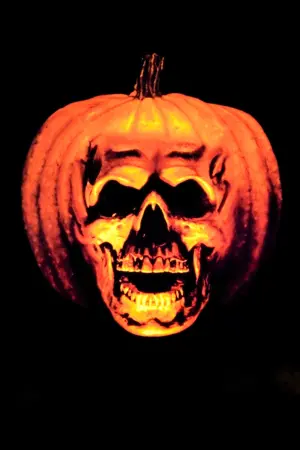 Постер до фильму"Гелловін 2" #280519