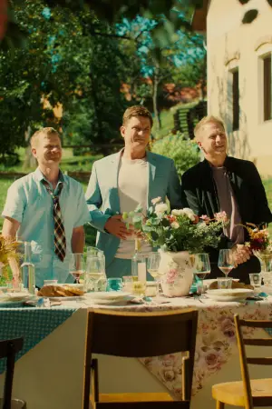 Постер до фільму "Přání k narozeninám 2"