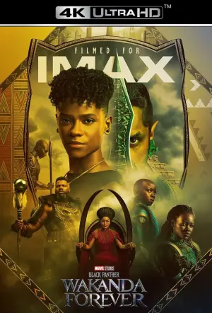 Постер до фильму"Чорна пантера: Ваканда назавжди" #4353