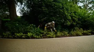 Задник до фильму"Буґонія" #511680