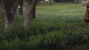 Задник до фильму"" #444275