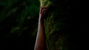 Задник до фильму"" #416379