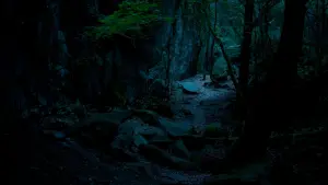 Задник до фильму"" #416380