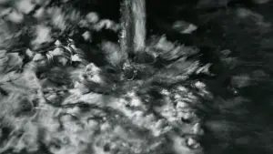 Задник до фильму"" #449009