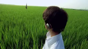 Задник до фильму"リリイ・シュシュのすべて" #788196