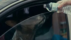 Задник до фильму"Під замком" #586722