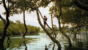 Задник до фильму"Місто Бога" #606946