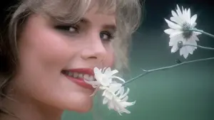 Задник до фильму"Зірка 80" #424462