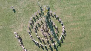 Задник до фильму"Сонцестояння" #589014