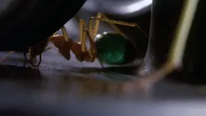 Задник до фильму"" #383350