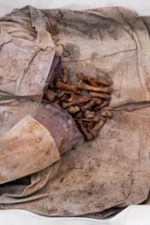 Постер до фильму"" #491211