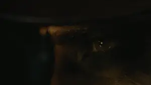 Задник до фильму"Бетмен" #557306